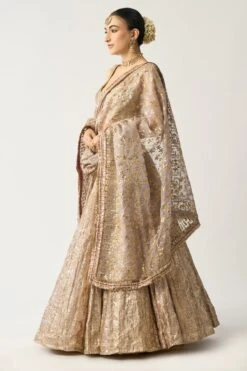 Itrh Silver Chandi Lehenga Set -Inca Sales Store 0802it02 2