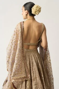 Itrh Silver Chandi Lehenga Set -Inca Sales Store 0802it02 4