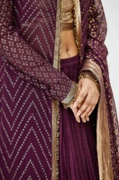 Nakul Sen Aubergine Chiffon Jacket Set -Inca Sales Store 1006 5