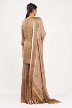 Nakul Sen Chiffon Sharara Set With Cut Dana Embroidery -Inca Sales Store 1018 5 1