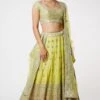 Gopi Vaid Lime Green Embellished Lehenga Set 1 Gopi Vaid Lime Green Embellished Lehenga Set -Inca Sales Store 115gv4 1