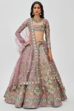 Aisha Rao Light Grey Embellished Lehenga Set