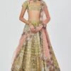 Aisha Rao Green Floral Applique Lehenga Set -Inca Sales Store 11723ar6 1