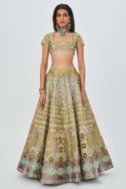 Aisha Rao Green Floral Applique Lehenga Set 9 Aisha Rao Green Floral Applique Lehenga Set -Inca Sales Store 11723ar6 2