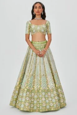 Aisha Rao Lime Embellished Lehenga Set -Inca Sales Store 11723ar8 2