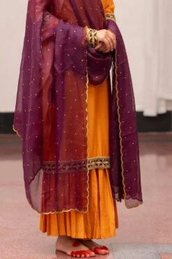 Mimamsaa Kripa Embellished Dupatta -Inca Sales Store 13923mm33 3