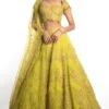 Ahilian Green Embellished Lehenga Set -Inca Sales Store 139ah1 1