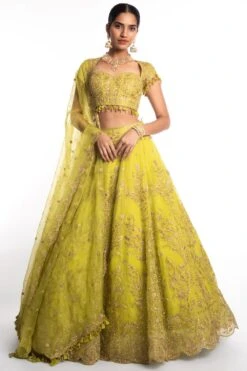 Ahilian Green Embellished Lehenga Set