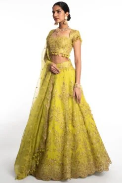 Ahilian Green Embellished Lehenga Set -Inca Sales Store 139ah1 3
