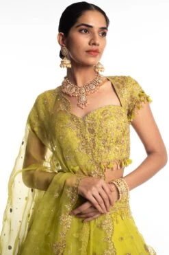 Ahilian Green Embellished Lehenga Set -Inca Sales Store 139ah1 4