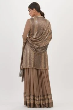 Nakul Sen Brown Sequinned Striped Sharara Set 15 Nakul Sen Brown Sequinned Striped Sharara Set -Inca Sales Store 13nsc23 7
