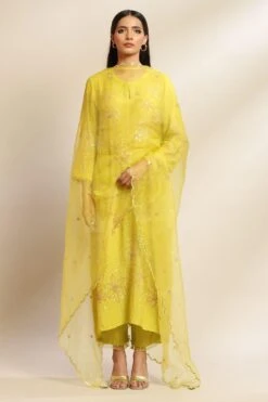 ONE NOT TWO Citrine Hand Embellished Dupatta