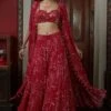 Arpita Mehta Red Printed Sharara With Bustier & Cape