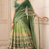 Tarun Tahiliani Printed Ombre Lehenga Set With Threadwork -Inca Sales Store 153ttbdr5 1