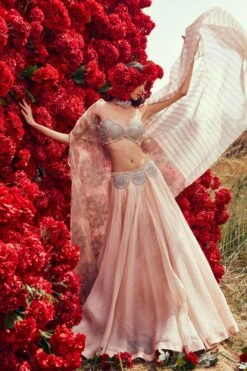 Bhumika Sharma Champagne Embroidered Cape Set -Inca Sales Store 157bs5 3