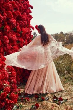 Bhumika Sharma Champagne Embroidered Cape Set -Inca Sales Store 157bs5 4