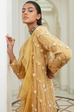 Ridhima Bhasin Sunrise Yellow Lucknowi Embroidered Jacket Set -Inca Sales Store 165rb13 4