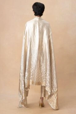 Hemang Agrawal Gold & Silver Handloom Dupatta -Inca Sales Store 171023bs7 5