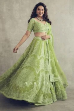 Torani Angoori Meher Paasa Lehenga Set