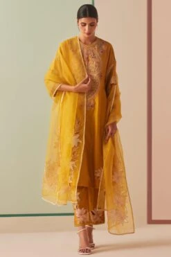 Chandrima Mustard Cutwork And Applique Dupatta