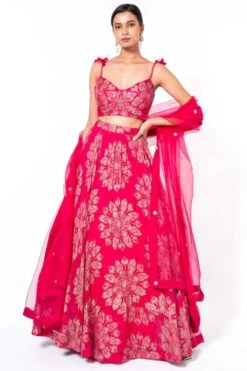 Bhumika Sharma Pink Embroidered Lehenga Set