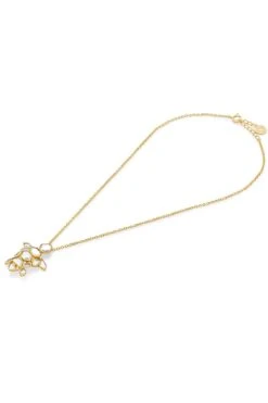 Isharya Reflective Turtle Charm Mirror Necklace -Inca Sales Store 201223ia54 3