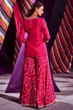 Punit Balana Pink Embellished Sharara Set -Inca Sales Store 2111pbw1 3