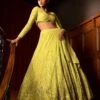 Mishru Stella Lime Green Floral Embellished Lehenga Set