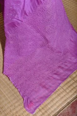 Naina Jain Lavender Bandhani On Pure Organza Sari -Inca Sales Store 222nj8 3