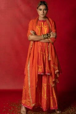 Pooja Keyur Orange Embroidered Organza Dupatta