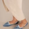 AMPM Accessories Elena Point-toe Flats