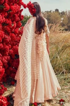 Bhumika Sharma Champagne Organza Belted Anarkali Set -Inca Sales Store 2511bs01 3