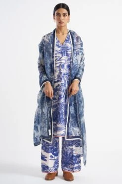 Kshitij Jalori Ranthambore Tanzenite Dupatta