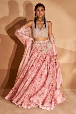Bhumika Sharma Blush Pink Embroidered Lehenga Set