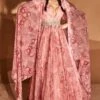 Bhumika Sharma Blush Pink Bahaar Anarkali Set -Inca Sales Store 2912bsg17 1