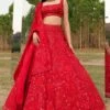 Mishru Red Floral Embroidered Lehenga
