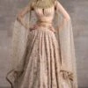 Tarun Tahiliani Pink Embellished Lehenga Set