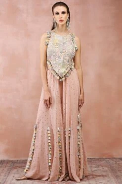 Payal Singhal Rose Pink Applique Embellished Choli & Sharara Set