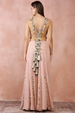 Payal Singhal Rose Pink Applique Embellished Choli & Sharara Set -Inca Sales Store 31523ps13 5