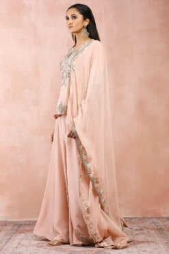 Payal Singhal Rose Pink Bagh Embellished Kurta Set -Inca Sales Store 31523ps2 3