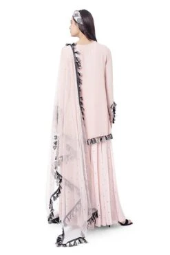 Payal Singhal Georgette Embroidered Kurta Set -Inca Sales Store 319424 5