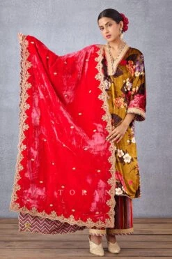 Torani Pink Mushira Silk Velvet Doshala