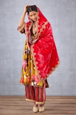 Torani Pink Mushira Silk Velvet Doshala -Inca Sales Store 31tch22 3