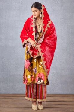 Torani Pink Mushira Silk Velvet Doshala -Inca Sales Store 31tch22 5