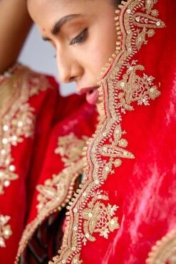 Torani Pink Mushira Silk Velvet Doshala -Inca Sales Store 31tch22 7