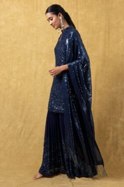 Nakul Sen Blue Sequinned Sharara Set -Inca Sales Store 33nks2 3