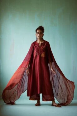 Medha Red Panelled Hand Embellished Dupatta