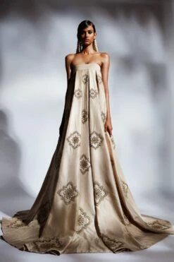 Mala And Kinnary Beige Box Pleated Gown