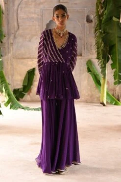Deep Thee Aubergine Embellished Sharara Set -Inca Sales Store 71023dt4 3