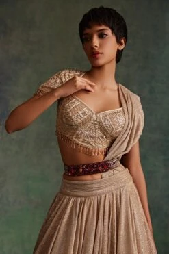 Tarun Tahiliani Accessories Wine Embroidered Belt